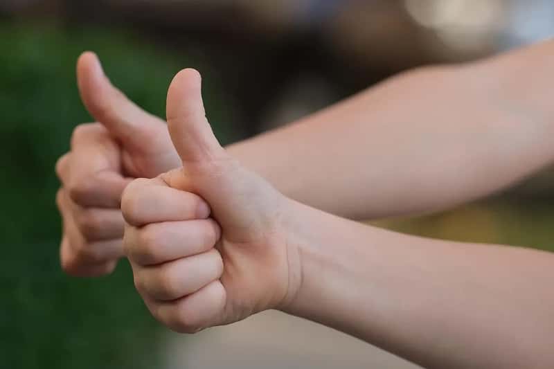 Conclusion: Your Hands Are Always Saying Something (Image Credits: Pixabay)