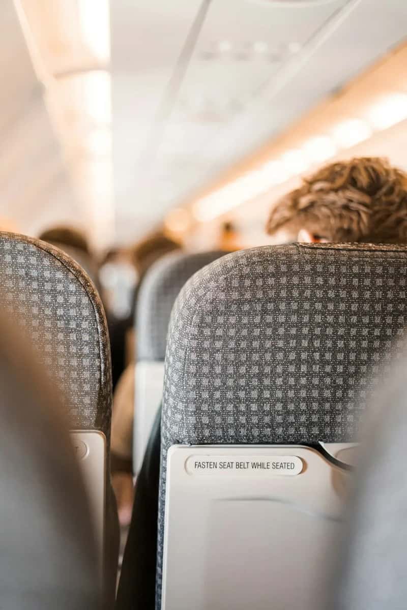 #10 - Yanking the Seat Back to Pull Yourself Up (Image Credits: Unsplash)