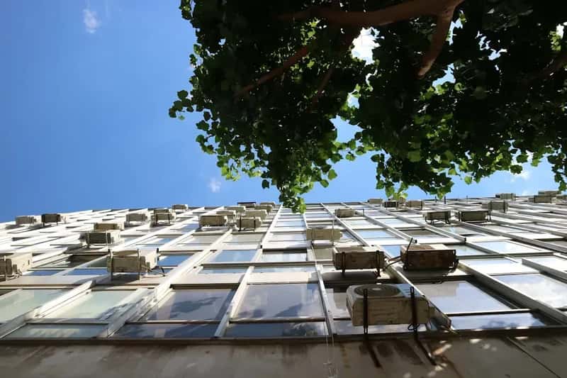 Environmental Concerns Clash With Climate Adaptation Needs (Image Credits: Unsplash)