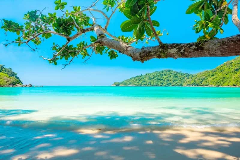 Fiji (Image Credits: Unsplash)