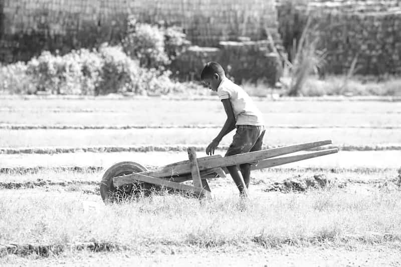#25 - Working Real Jobs on Farms as Young Kids (Image Credits: Pexels)