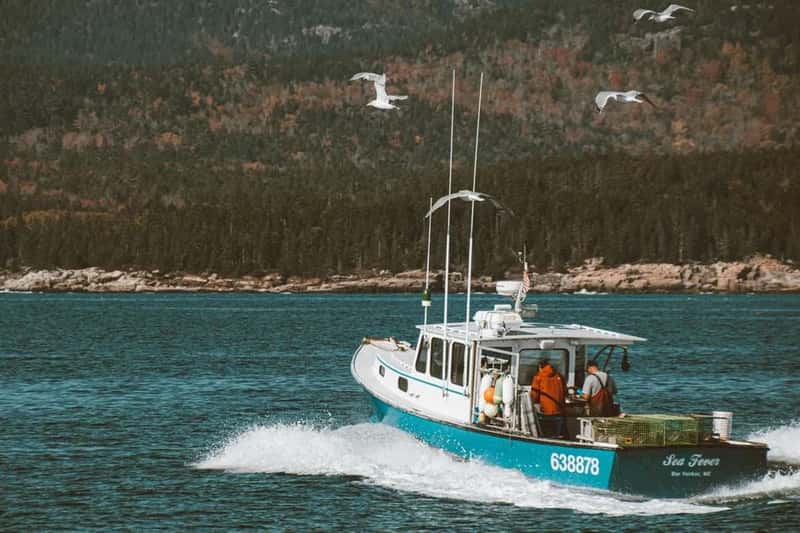 Bar Harbor, Maine (Image Credits: Pexels)
