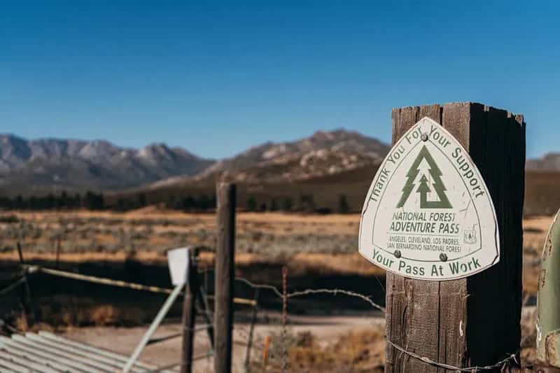 #12 - Ignoring the Annual Pass Math (Image Credits: Pexels)