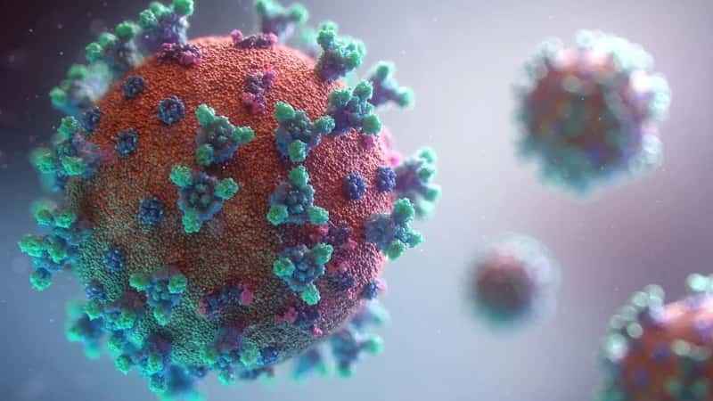 The 2026 Outbreak Record Gave Me Pause (Image Credits: Unsplash)