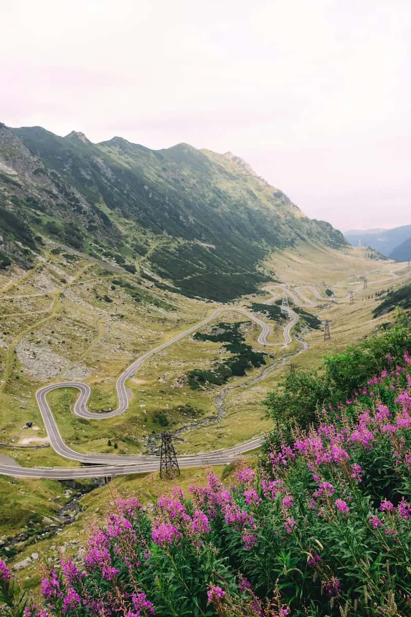 Transfagarasan Highway, Romania (Image Credits: Unsplash)