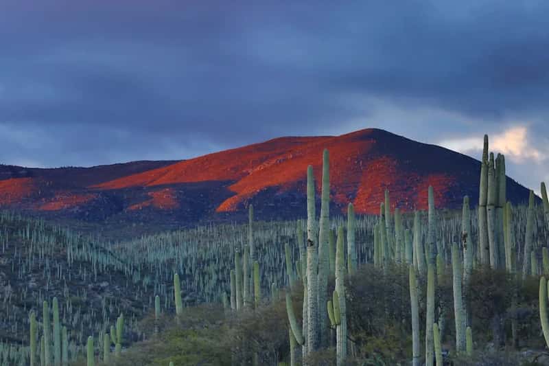 New Mexico's Tax Picture Is Surprisingly Competitive (Image Credits: Unsplash)