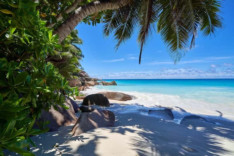 4. Seychelles: An Indian Ocean Paradise Without a Winter Clock (Image Credits: Unsplash)