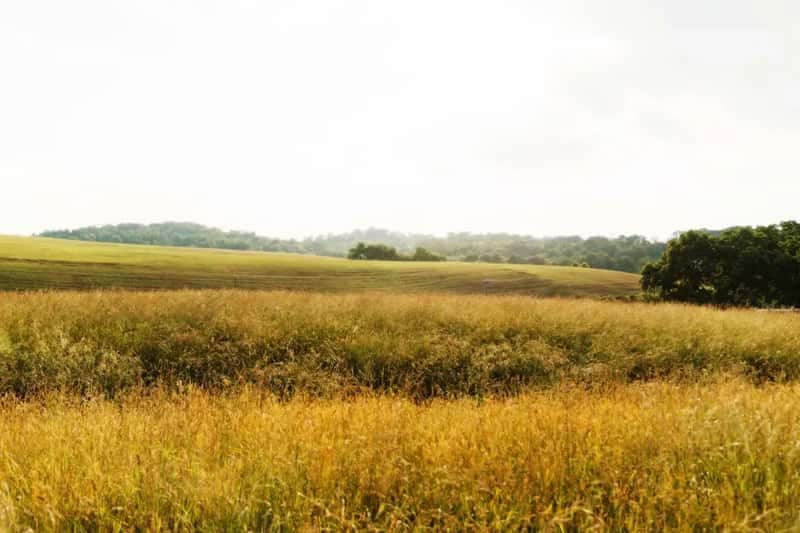 5. Lancaster, Pennsylvania - Quietly Living the Good Life (Image Credits: Unsplash)
