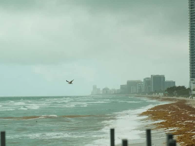 Miami Beach, Florida (Image Credits: Unsplash)