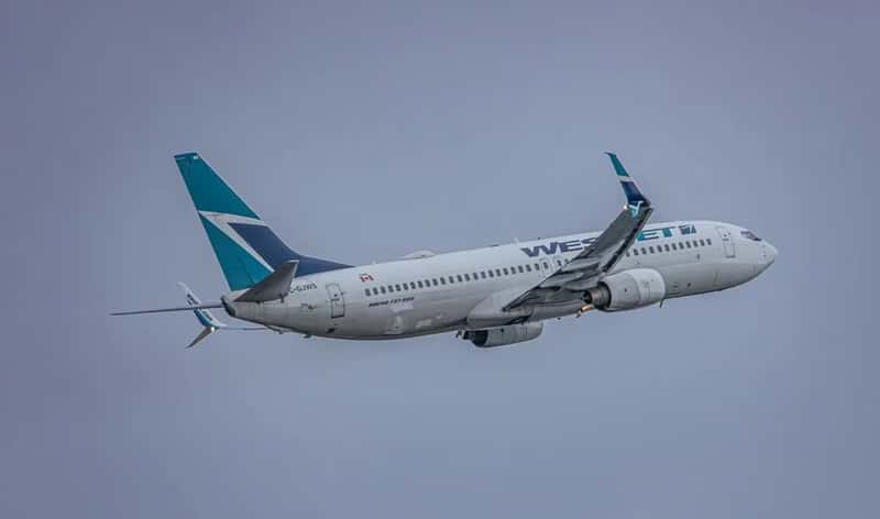 WestJet's Offer on the Table (Image Credits: Pexels)