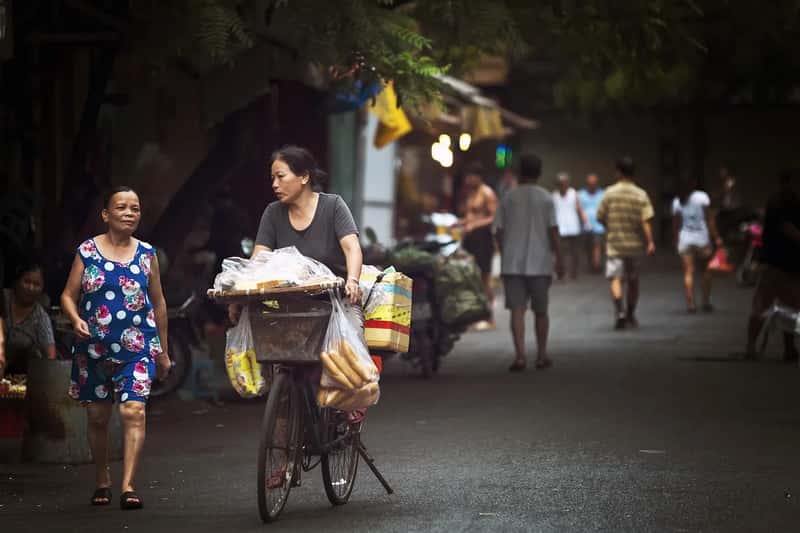 Vietnam: Where a Modest Budget Buys a Deluxe Lifestyle (Image Credits: Pixabay)