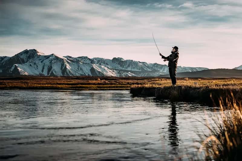 Wild Catch Fisheries Hold Steady (Image Credits: Unsplash)