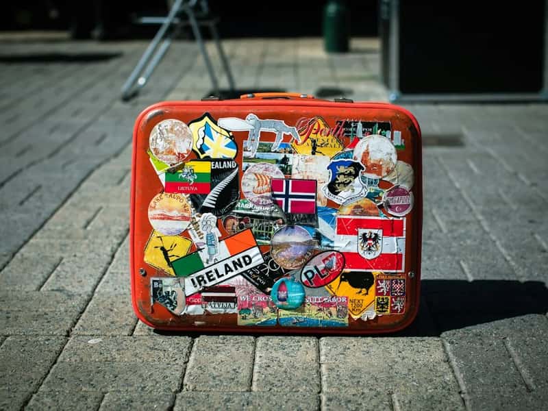 3. Overused Fake Stickers Have Trained Handlers to Tune Them Out (Image Credits: Unsplash)