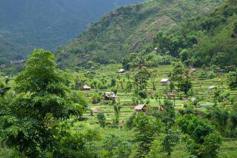Indonesia - Bali's Paradise Lost (Image Credits: Wikimedia)