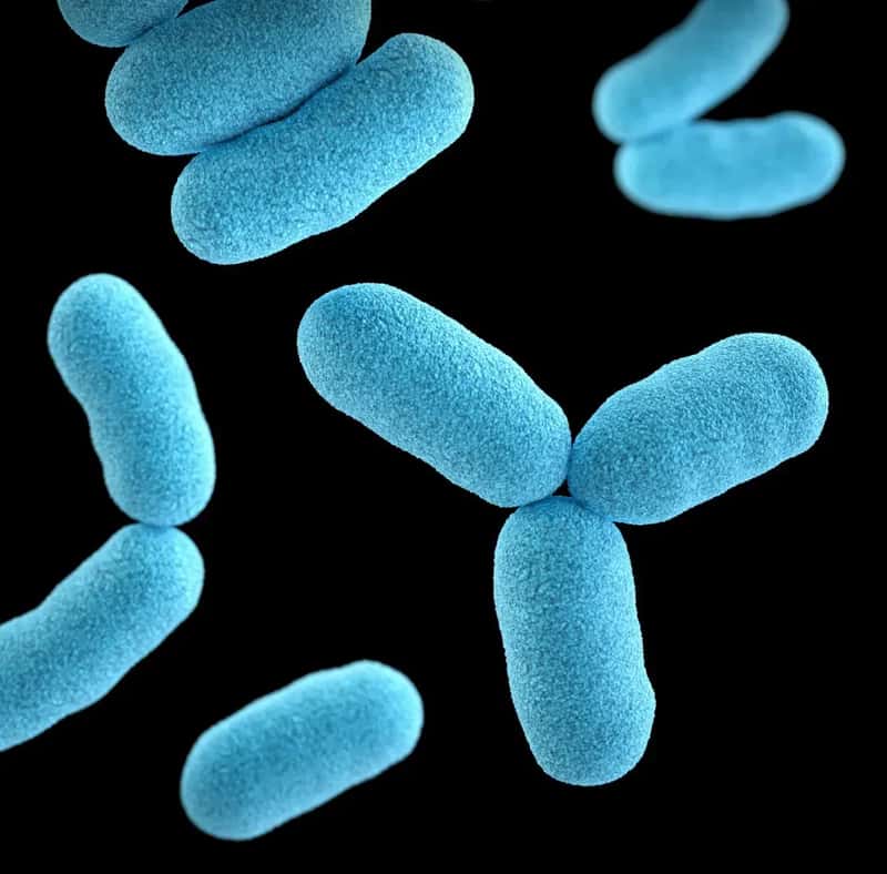 The Bacterial Nightmare No One Talks About (Image Credits: Unsplash)