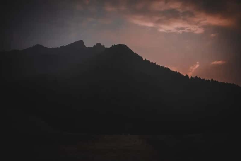 The takeaway (Image Credits: Pexels)