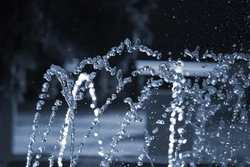 #6 - A Mister or Drip Fountain Beats a Bird Bath Every Single Time (Image Credits: Rawpixel)