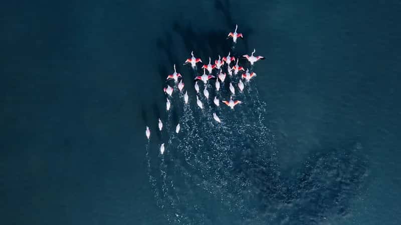 Beyond the Sharks: What Else Is Waiting (Image Credits: Unsplash)