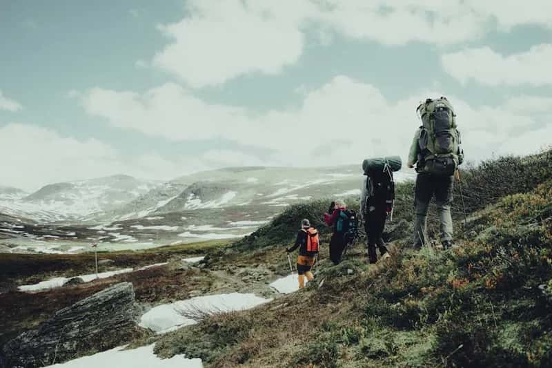 #3 - Wandering Off the Designated Trail (Image Credits: Pexels)
