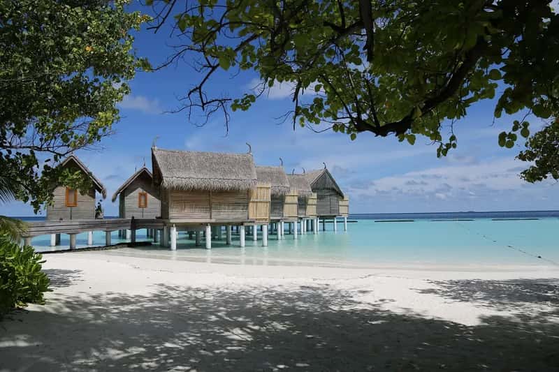 6. Maldives (Image Credits: Pixabay)