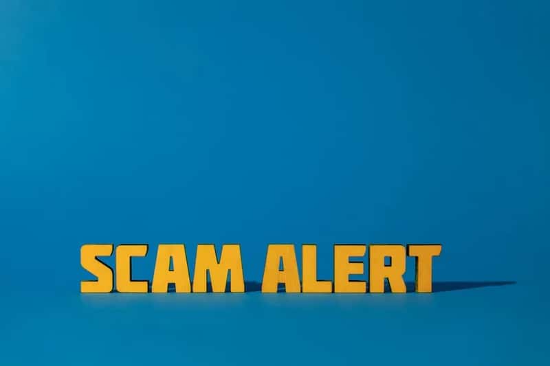 4. The Fake Website and Phishing Scam (Image Credits: Pexels)
