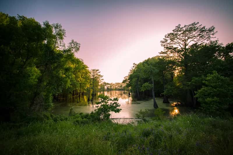 7. Greenwood, Mississippi (Image Credits: Unsplash)