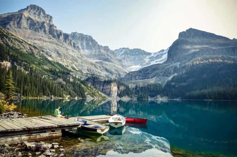 Why nobody can name it (Image Credits: Pexels)