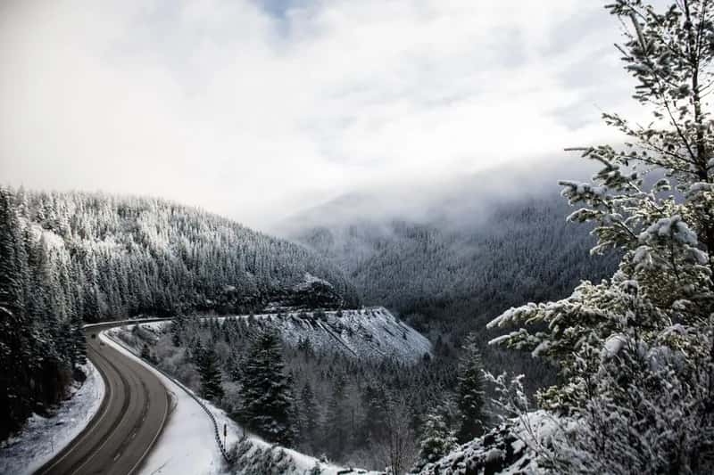 The Pacific Northwest and Western Canada: Cool, Wet and Snowy (Image Credits: Pexels)