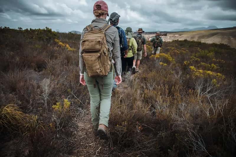 12. They Skip the Walking Safari Without an Ounce of Guilt (Image Credits: Unsplash)