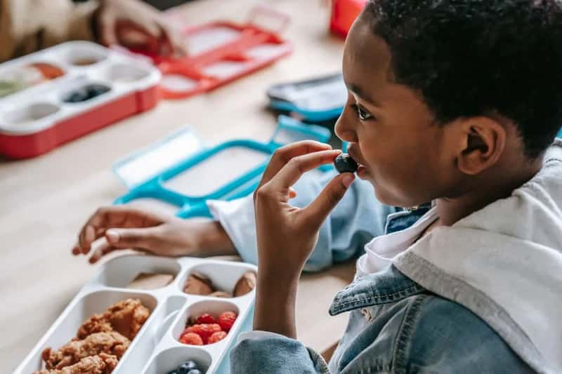 British school dinners, love them or loathe them (Image Credits: Pexels)