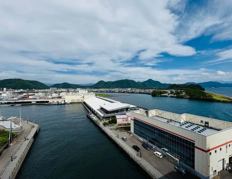 How Japan's Import Certificate Works (Image Credits: Pexels)