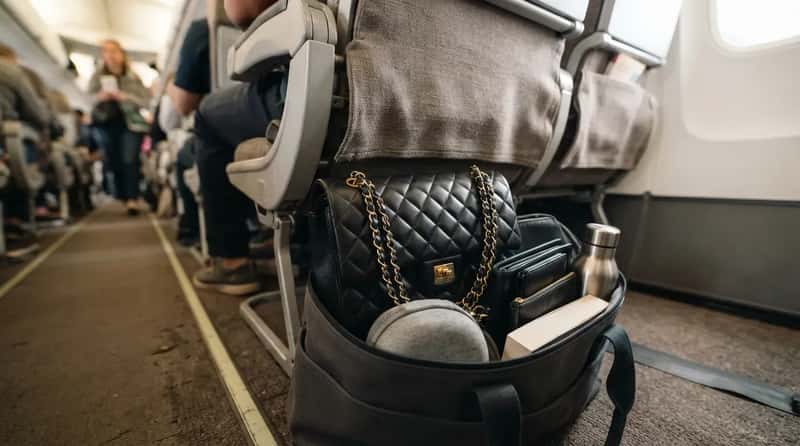 #17 - Designer Handbags and Luxury Accessories (Image Credits: Gemini)