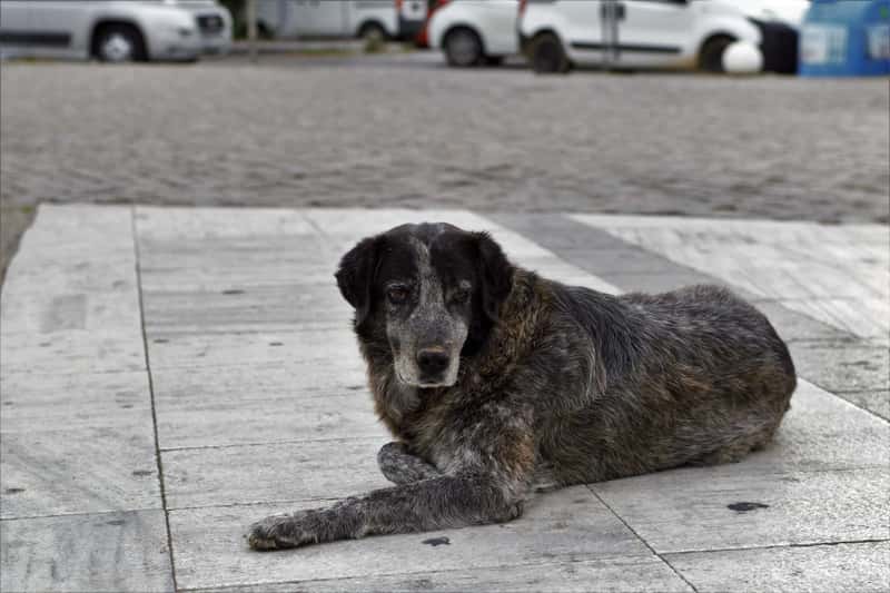 Greece: Ancient Streets, Modern Problems (Image Credits: Shutterstock)