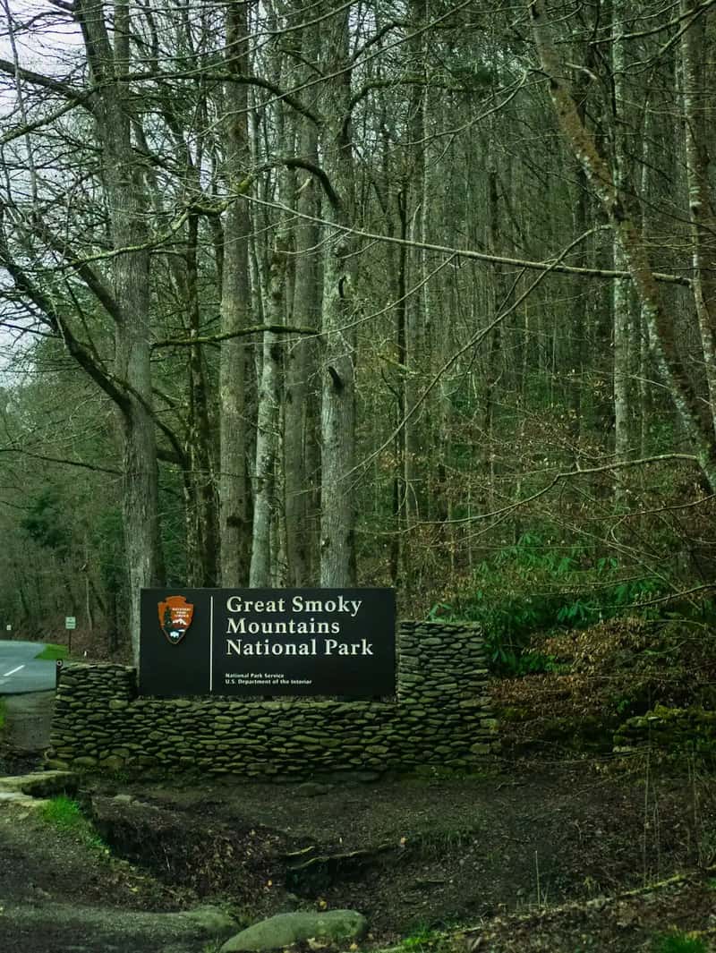 5. Great Smoky Mountains National Park, Tennessee and North Carolina (Image Credits: Unsplash)