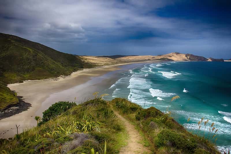 2. New Zealand (Image Credits: Pixabay)