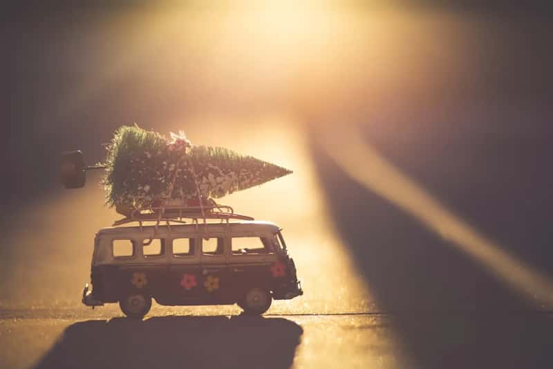 The worst time to move: the holiday and peak overlap (Image Credits: Unsplash)