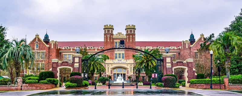 Gainesville, Florida: Sunshine State Living Without the Premium Price Tag (Image Credits: Unsplash)