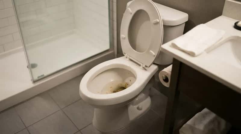#13 - Never Flushing the Toilet (Image Credits: Gemini)