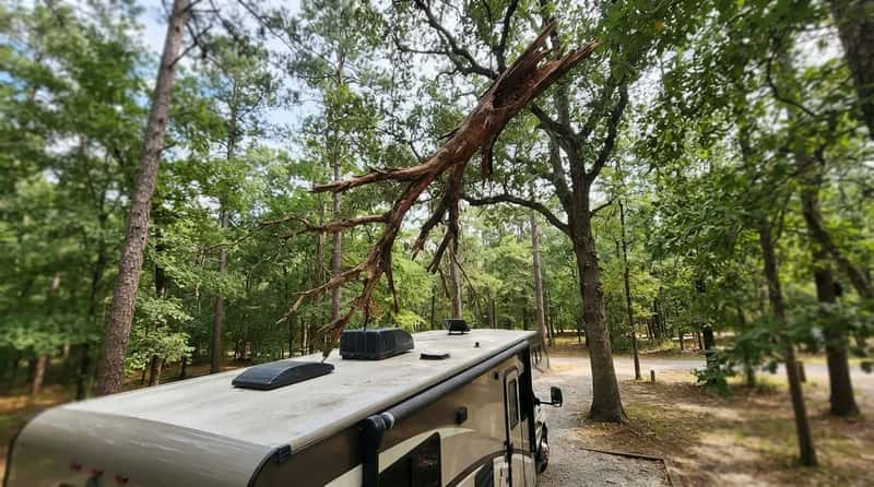 #24 - Widowmakers: The Dead Branch Above Your Roof (Image Credits: Gemini)