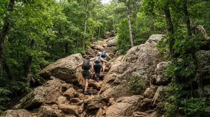 #9 - Bryce Canyon Gives You Hoodoos on a Short Paved Walk, but Shenandoah's Old Rag Is a Scramble (Image Credits: Gemini)