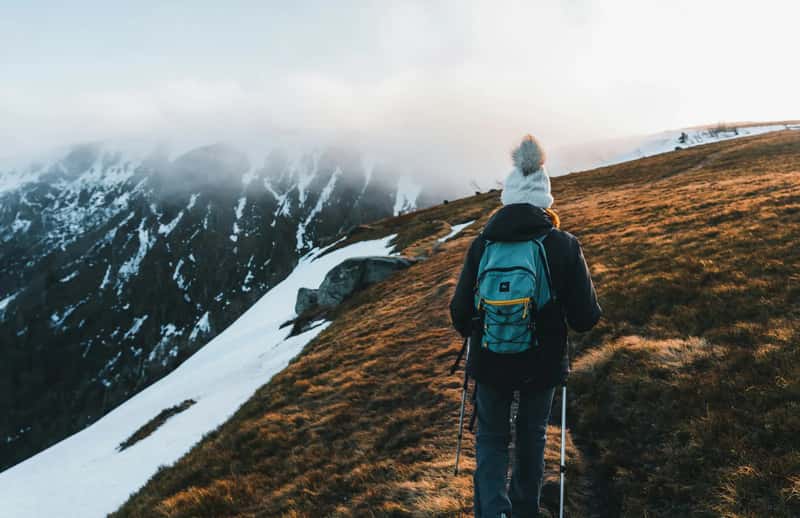 1. The Altitude Instinct (Image Credits: Unsplash)