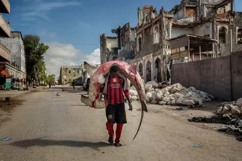 Somalia: Visiting a War Zone for Bragging Rights (Image Credits: Wikimedia)