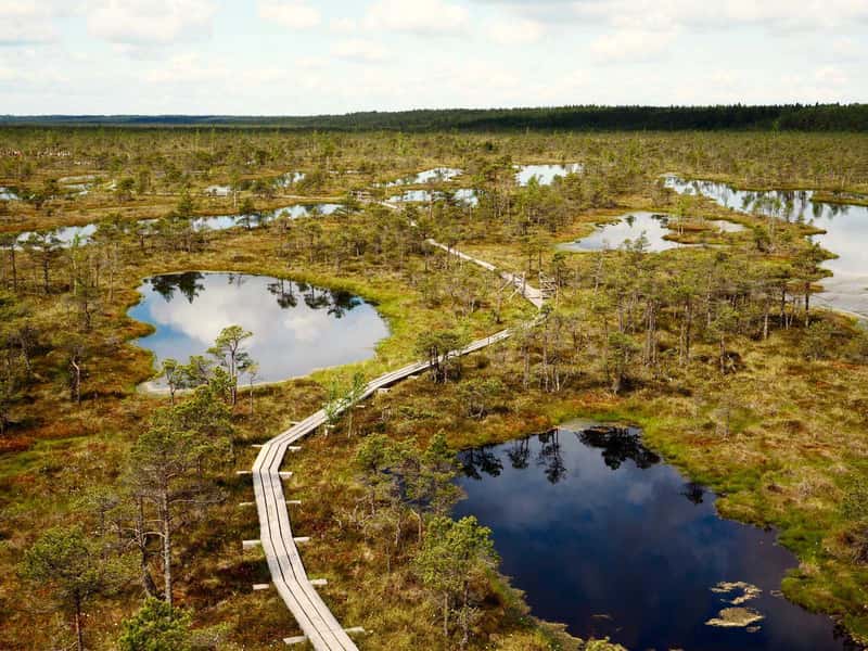 Nature Experiences You Won't Find Anywhere Else (Image Credits: Wikimedia)