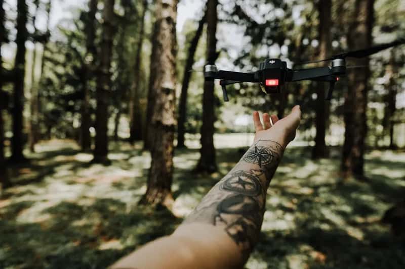 Avoid Flying Drones Over Wildlife Areas (Image Credits: Unsplash)