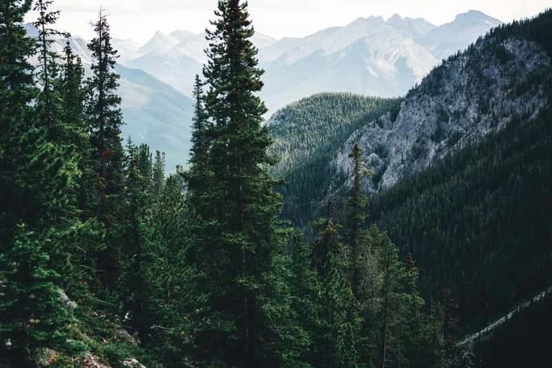 Rocky Mountain National Park (Image Credits: Pexels)