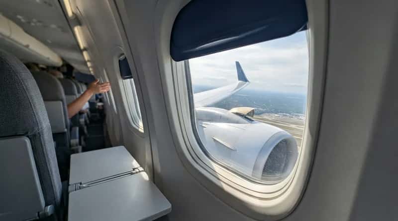 #18 - Raising Your Window Shade Isn't a Suggestion (Image Credits: Gemini)
