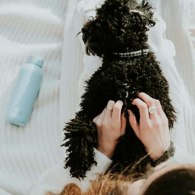 #6 - A Portable, Leak-Proof Water Supply (Image Credits: Unsplash)