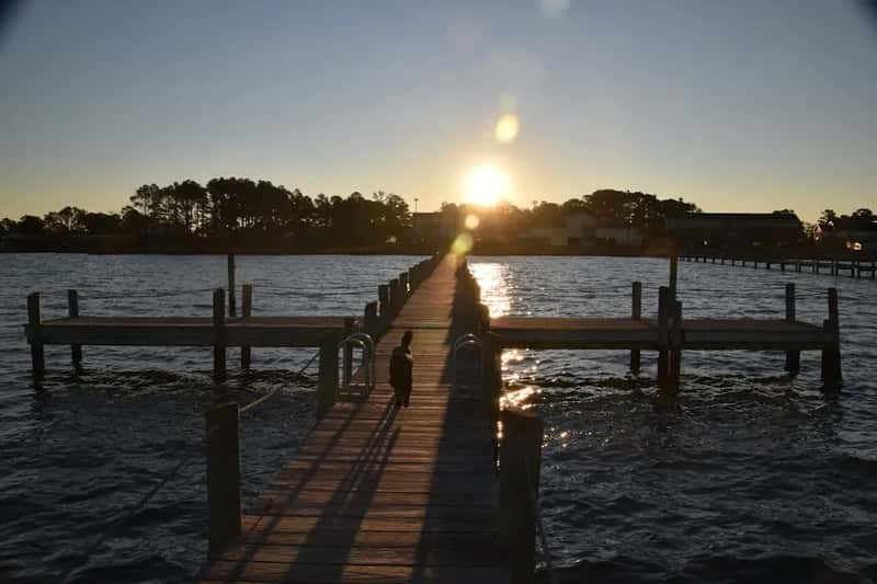 #6 – Chincoteague Island, Virginia: Wild Ponies and Beaches That Are Still Actually Quiet (Image Credits: Unsplash)