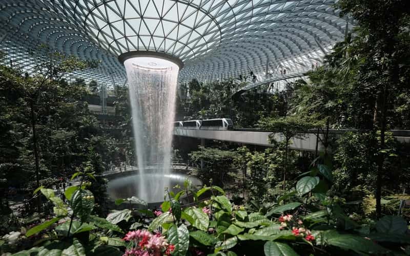 Singapore Changi Airport (Image Credits: Unsplash)