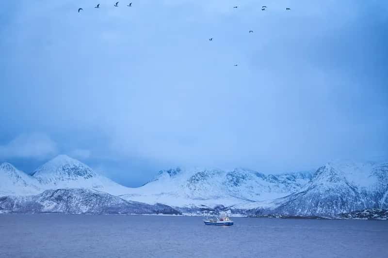 Expedition Cruise 5: Hurtigruten Along Norway's Coastline - the Original Small-Ship Route (Image Credits: Unsplash)